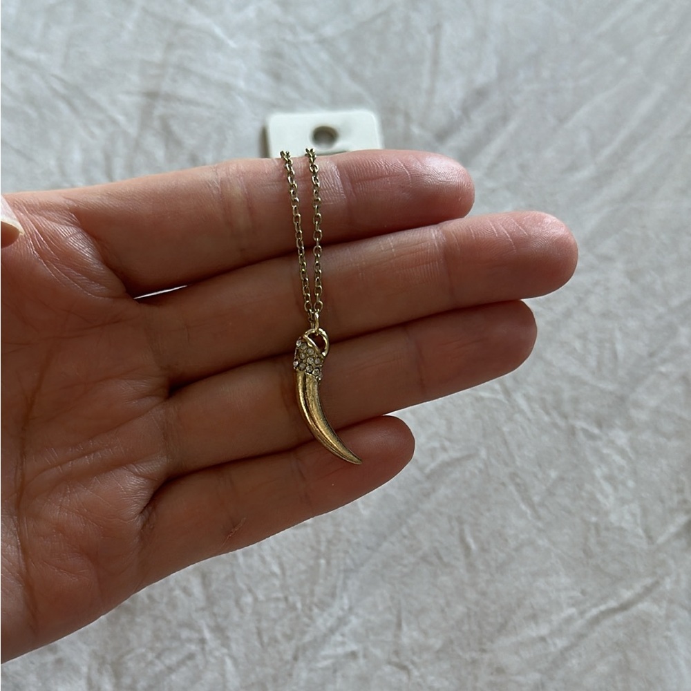 Horn Necklace and Earring Set